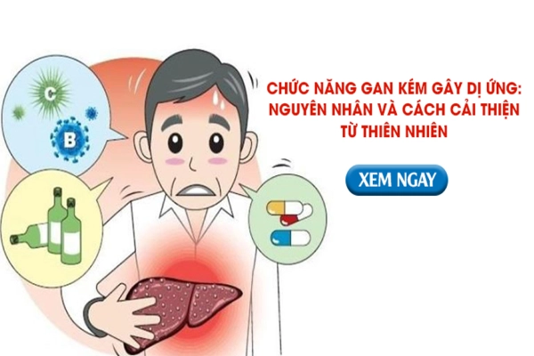 Chức năng gan kém gây dị ứng: Nguyên nhân và cách cải thiện từ thiên nhiên